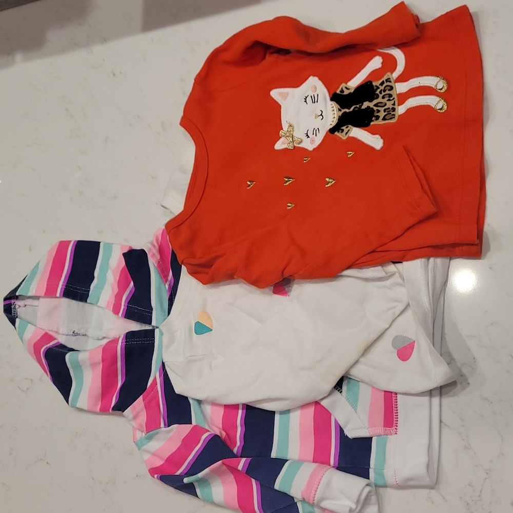 Carter's 18 month shirt bundle